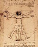 Leonardo Da Vinci - wallpaper preview