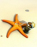 Star on the Beach