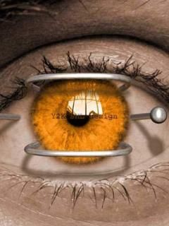 Eye