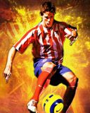 Fernando Torres
