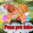 Pusa pro tebe - wallpaper preview