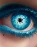 Spider in Eye