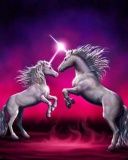 Unicorns - wallpaper preview
