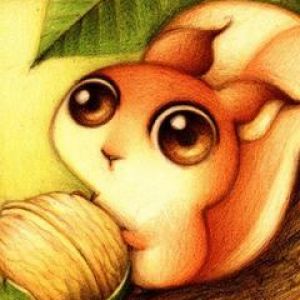 Squirrel