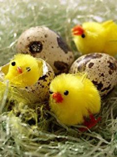 Easter