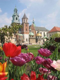Krakow - wallpaper preview