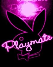 Playmate - wallpaper preview