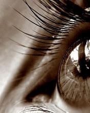 Brown eye - wallpaper preview