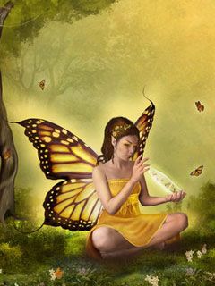Butterfly