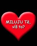 Miluju Te vis to