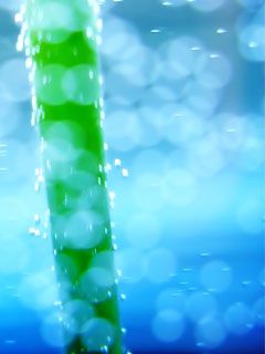 - - wallpaper preview