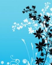 - - wallpaper preview