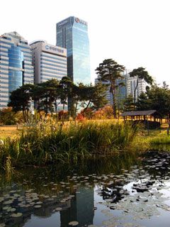 Soul - wallpaper preview