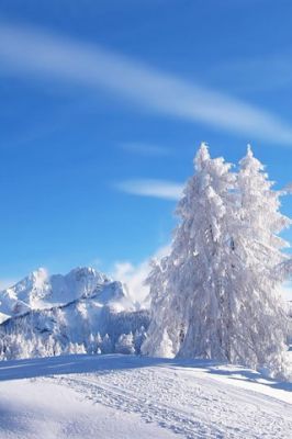Winter - wallpaper preview