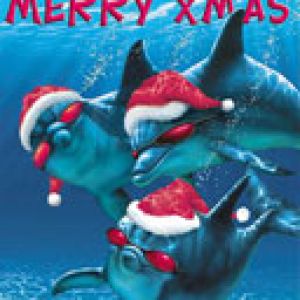 Merry Xmas