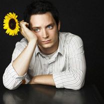 Elijah Wood - wallpaper preview