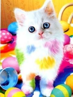 Color Cica - wallpaper preview