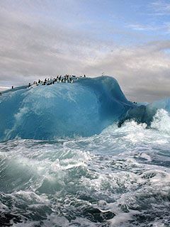 Sandwich Island