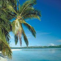 New Zeland - wallpaper preview
