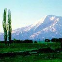 Ararat - wallpaper preview