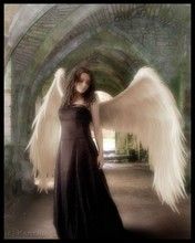 Angel - wallpaper preview