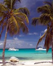 Tobago Cays Beach - wallpaper preview