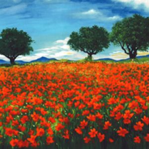 Poppy