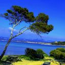 Cote - D Azur  - wallpaper preview