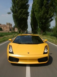 Gallardo