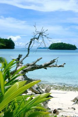 Rock Island in Palau