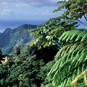 Commonwealth of Dominica