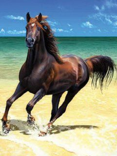 Horse - wallpaper preview