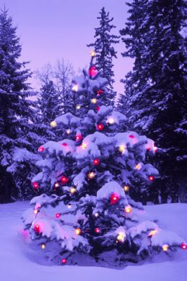 Merry Christmas - wallpaper preview