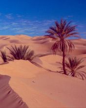 Libia