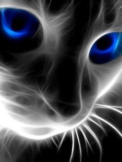 Cat - wallpaper preview