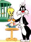 Sylvester a Tweety