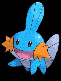 Pozadí Mudkip Pokémon