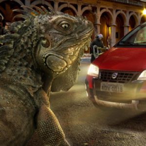 Obrovská Iguana a Auto