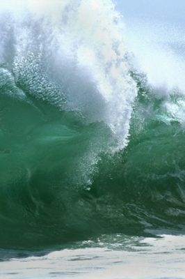 Majestátní oceánská vlna