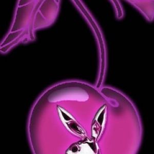 Playboy Třešňové Logo
