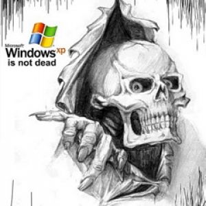 Windows XP Kostra Umění