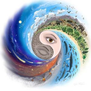 Yin Yang Přírodní Umění