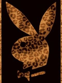 Playboy Logo Leopard Print
