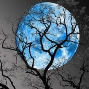 Modrá Luna a Siluety Stromů