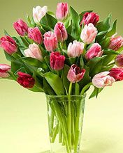 Barevná kytice tulipánů