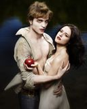 Romance Twilight - wallpaper preview