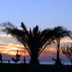 Západ slunce nad palmami
