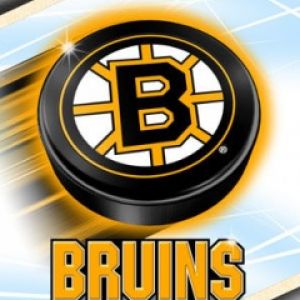 Logo Boston Bruins