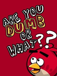 Vtipný citát Angry Birds - wallpaper preview