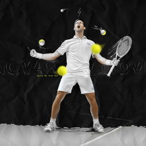 Novak Djokovic Tenisový Šampion